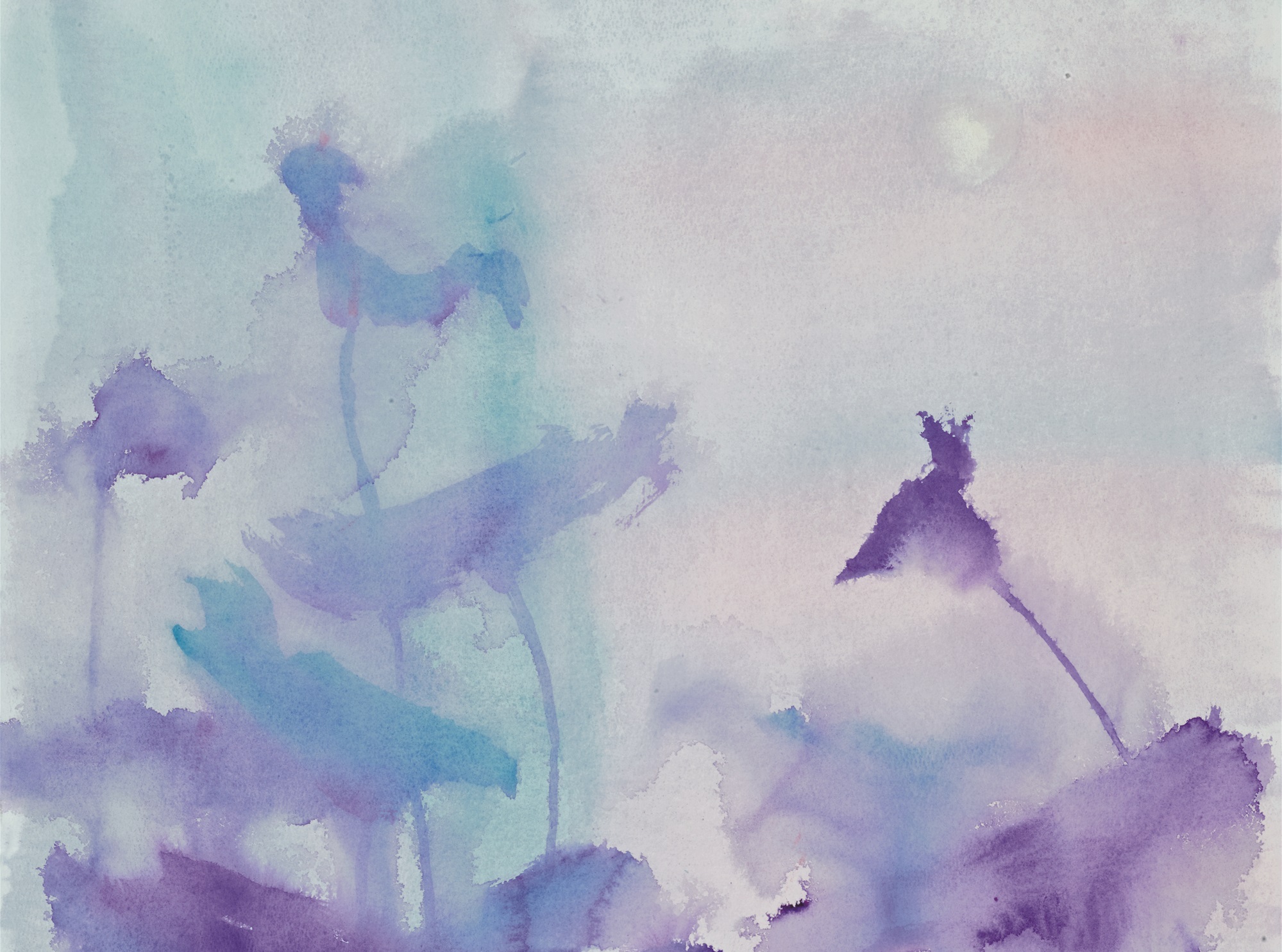 【藝術(shù)】收藏「琪」觀：荷風(fēng)抱月