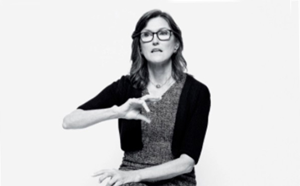 凱瑟琳·伍德想顛覆巴菲特投資哲學(xué)