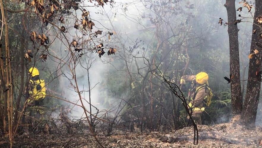 【持續(xù)更新】截至下午5時(shí) 消防處接獲18宗山火報(bào)告