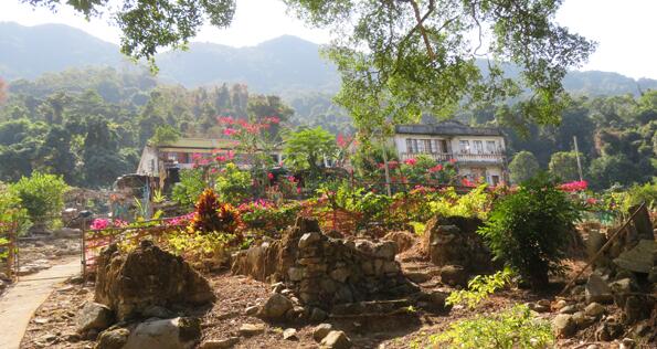 鄉(xiāng)郊保育撥1500萬(wàn)活化生態(tài) 梅子林蛤塘村復(fù)興在望