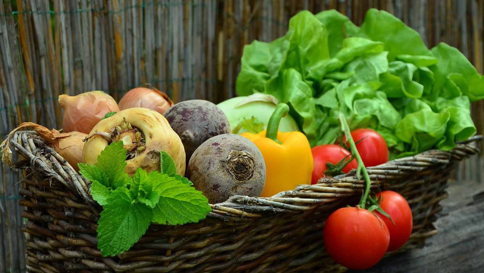 【健康】營養(yǎng)師教路   居家防疫蔬菜保鮮有法