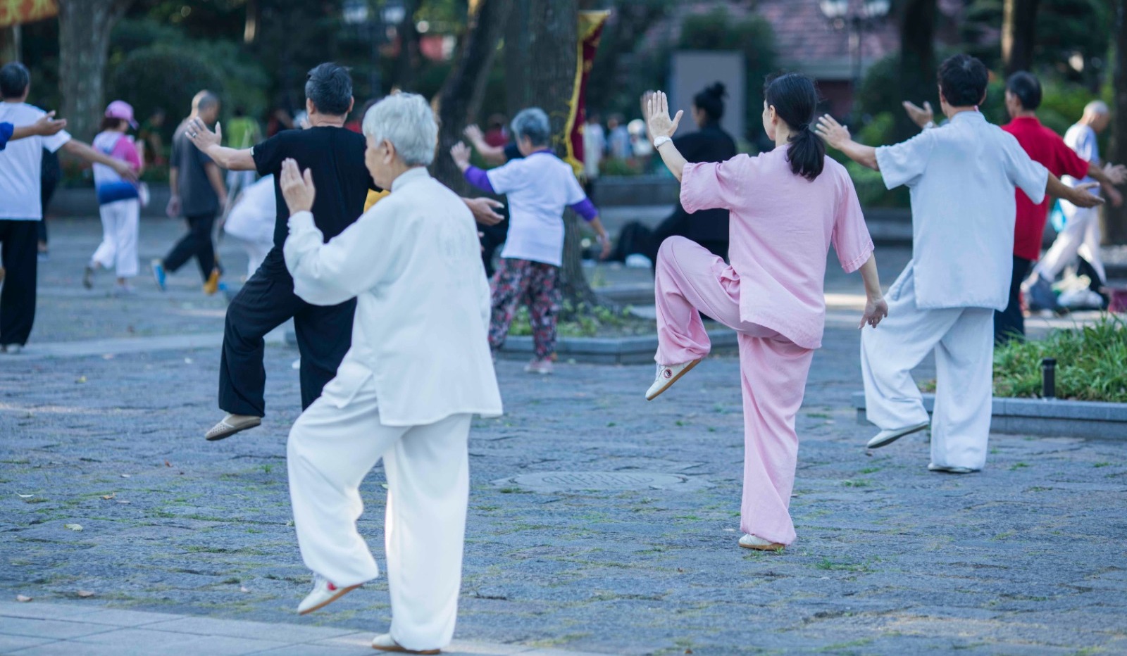 【漫話中醫(yī)】經(jīng)絡(luò)與氣功學(xué)說探討