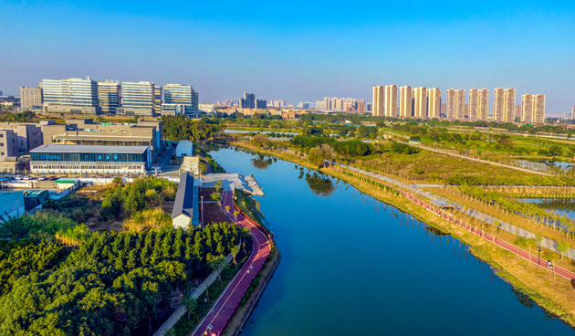 興產(chǎn)業(yè)抓專案 為東莞高質(zhì)量發(fā)展貢獻(xiàn)「道滘力量」