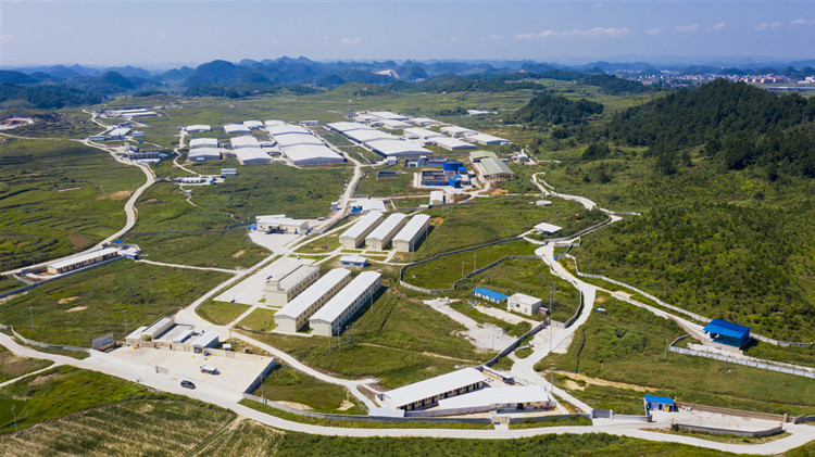 溫氏加快構(gòu)建現(xiàn)代養(yǎng)殖體系 研發(fā)國產(chǎn)豬芯片提升育種科技實(shí)力