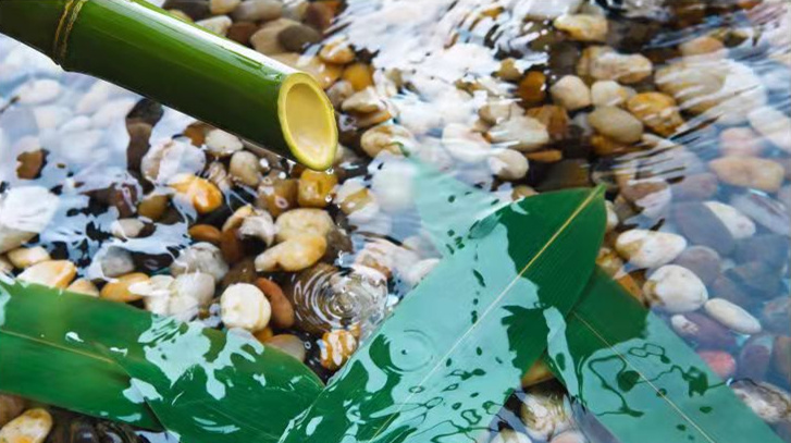 【讀書】貼地飛行，從南翔新著《伯爵貓》談開去