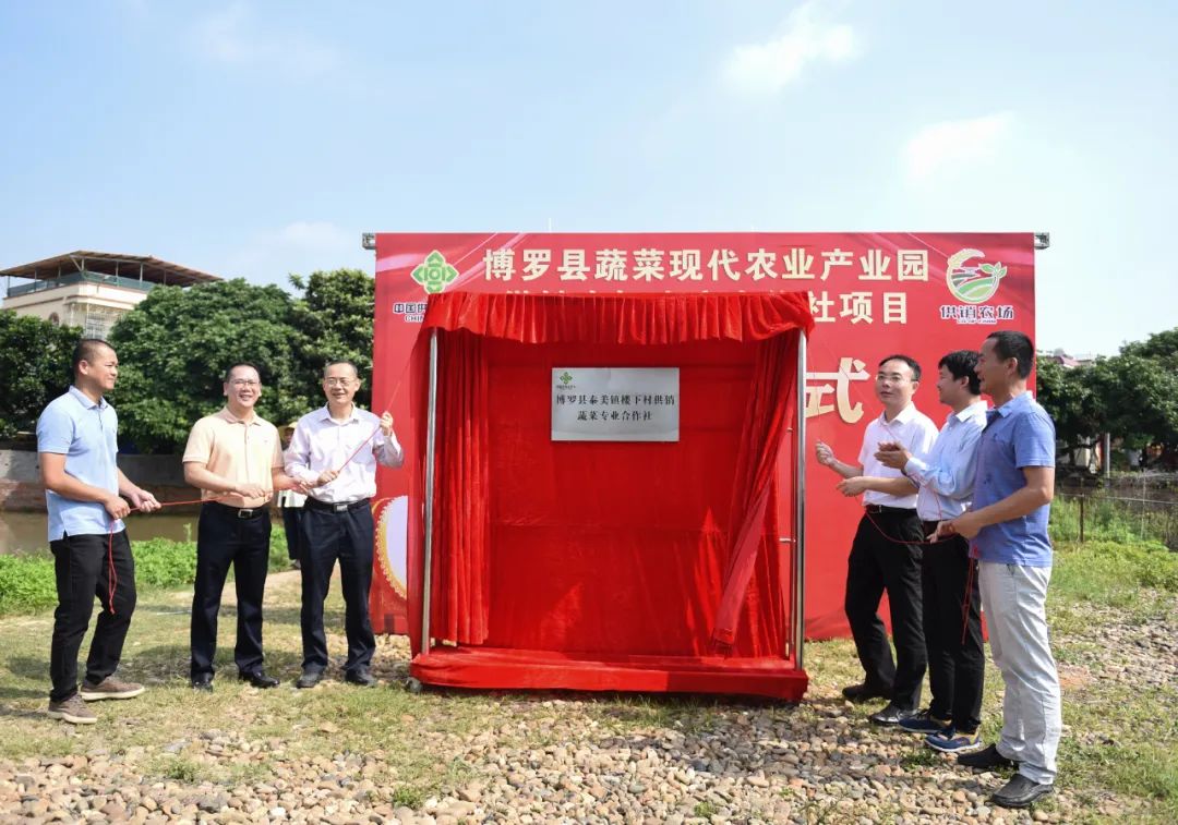 博羅「供銷農(nóng)場生產(chǎn)合作社」在泰美揭牌動工