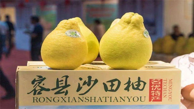 桂容縣開展柚種植成本調(diào)查 助力鄉(xiāng)村振興