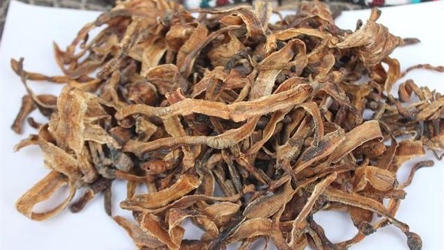 【漫話中醫(yī)】「地龍」治癒「真龍」病