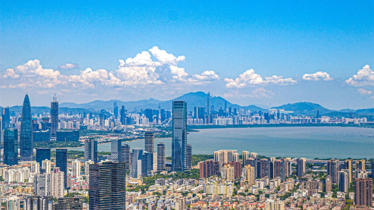 注意！深圳這7家非法社會(huì)組織已被依法取締或勸散