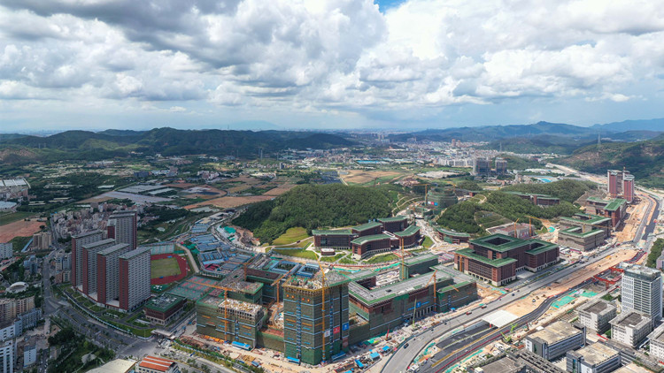 在粵全國人大代表在深開展視察活動 更好為高質(zhì)量發(fā)展建言