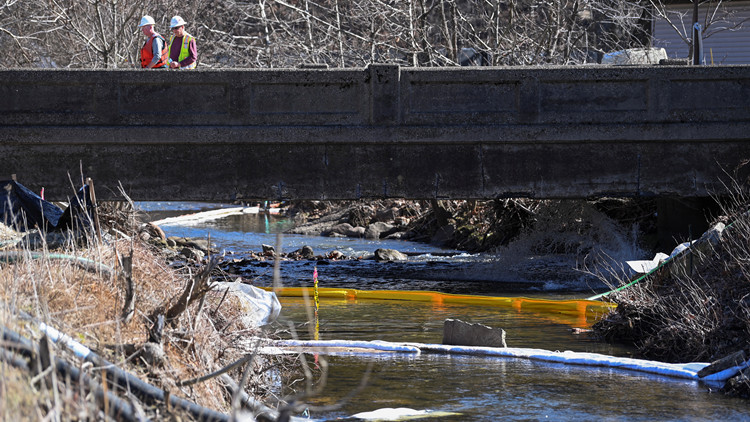 美國「毒火車」事件造成近4.4萬隻動(dòng)物死亡