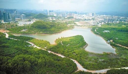 深圳市森林火險(xiǎn)橙色預(yù)警信號(hào)升級(jí)為紅色