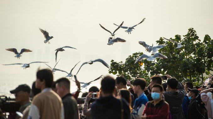 深圳公園停車場(chǎng)年內(nèi)將全部實(shí)現(xiàn)一鍵預(yù)約