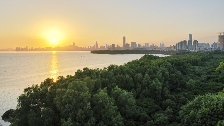 深圳市領(lǐng)導(dǎo)會(huì)見沙特阿卜杜拉國(guó)王科技大學(xué)客人