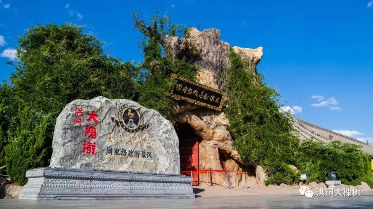 山西洪洞大槐樹邀約海內(nèi)外遊客共享踏春尋根之旅