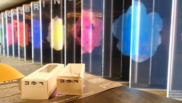 【健康】藝術(shù)結(jié)合美食 為腦癌患者籌款