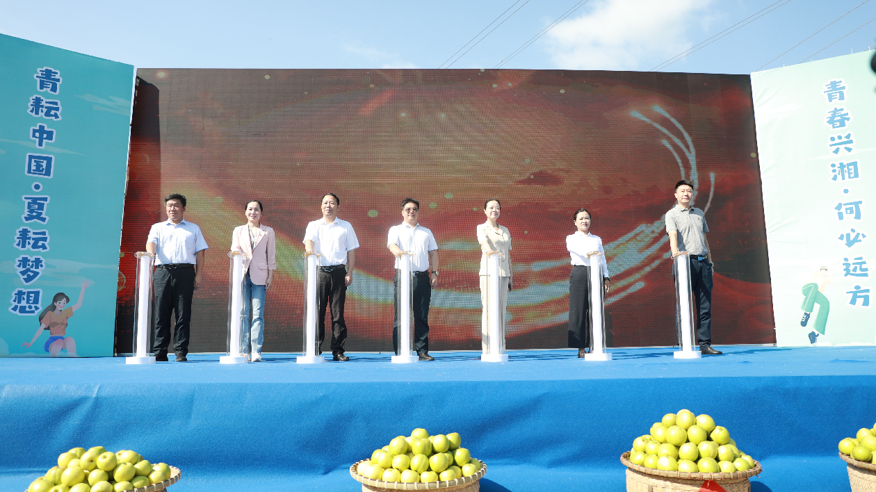 湖南江華瑤山雪梨搭上電商快車道 當(dāng)日銷售額破180萬