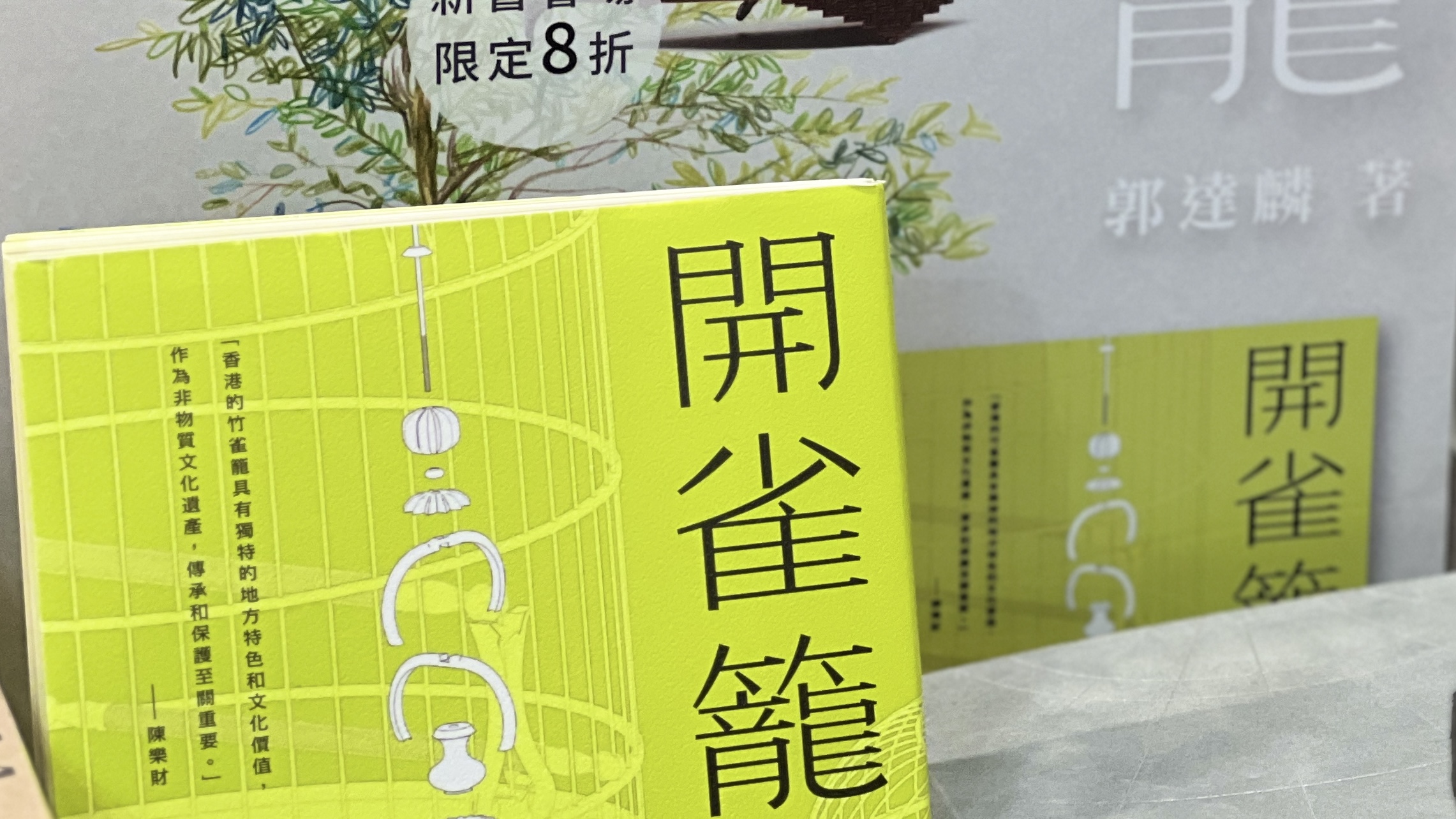 解構(gòu)匠心養(yǎng)雀工藝 傳承香港獨有非遺文化