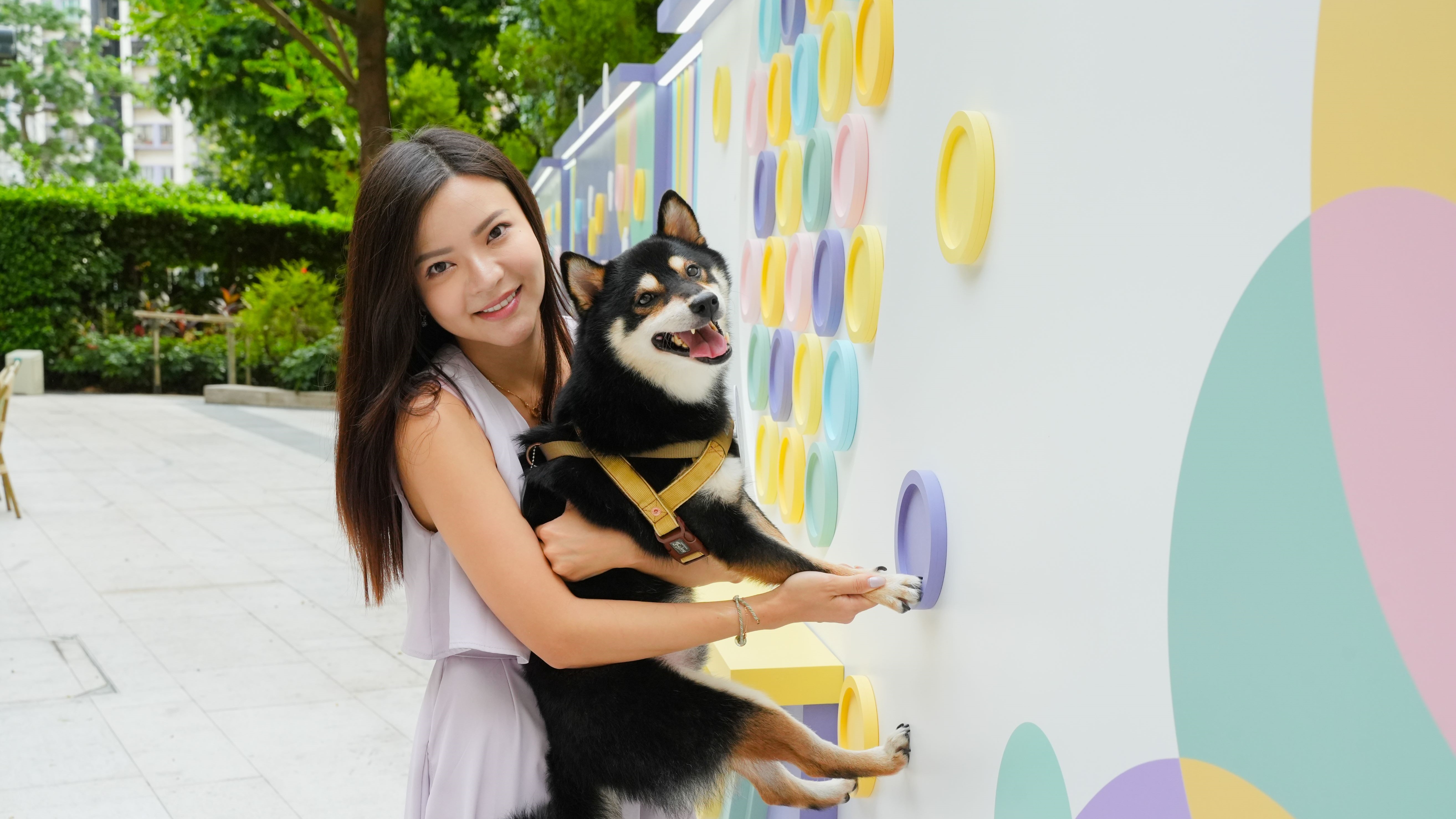 【玩樂】商場寵物優(yōu)惠活動(dòng) 捐贈(zèng)收入予動(dòng)物慈善