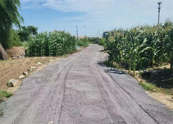 只花9萬多元！為村民「量身定製」出九項(xiàng)暖心惠民小工程