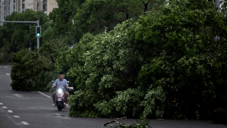福建防抗颱風(fēng)「蘇拉」 漁船進(jìn)港人上岸