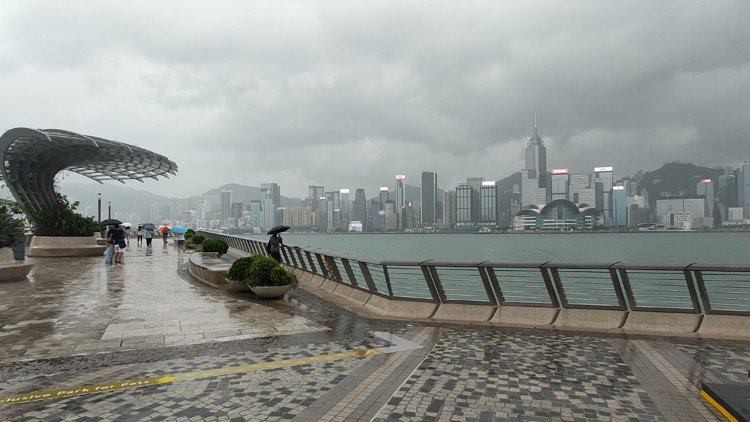 颱風(fēng)蘇拉 | 風(fēng)暴下有29宗塌樹7宗水浸報(bào)告 3人受傷