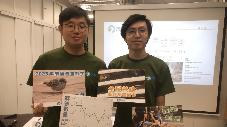 本港有約24.3萬(wàn)隻麻雀 香港觀鳥會(huì)籲市民共建鳥類友善城市