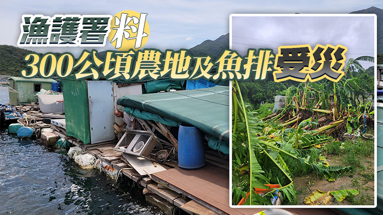 颱風蘇拉 | 本地農戶及養(yǎng)魚戶5日起可申請緊急救援基金 截至13日