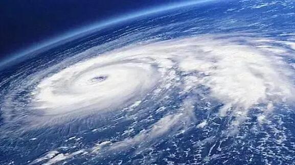 「?？贯勁_東農(nóng)損逾6億元新臺幣