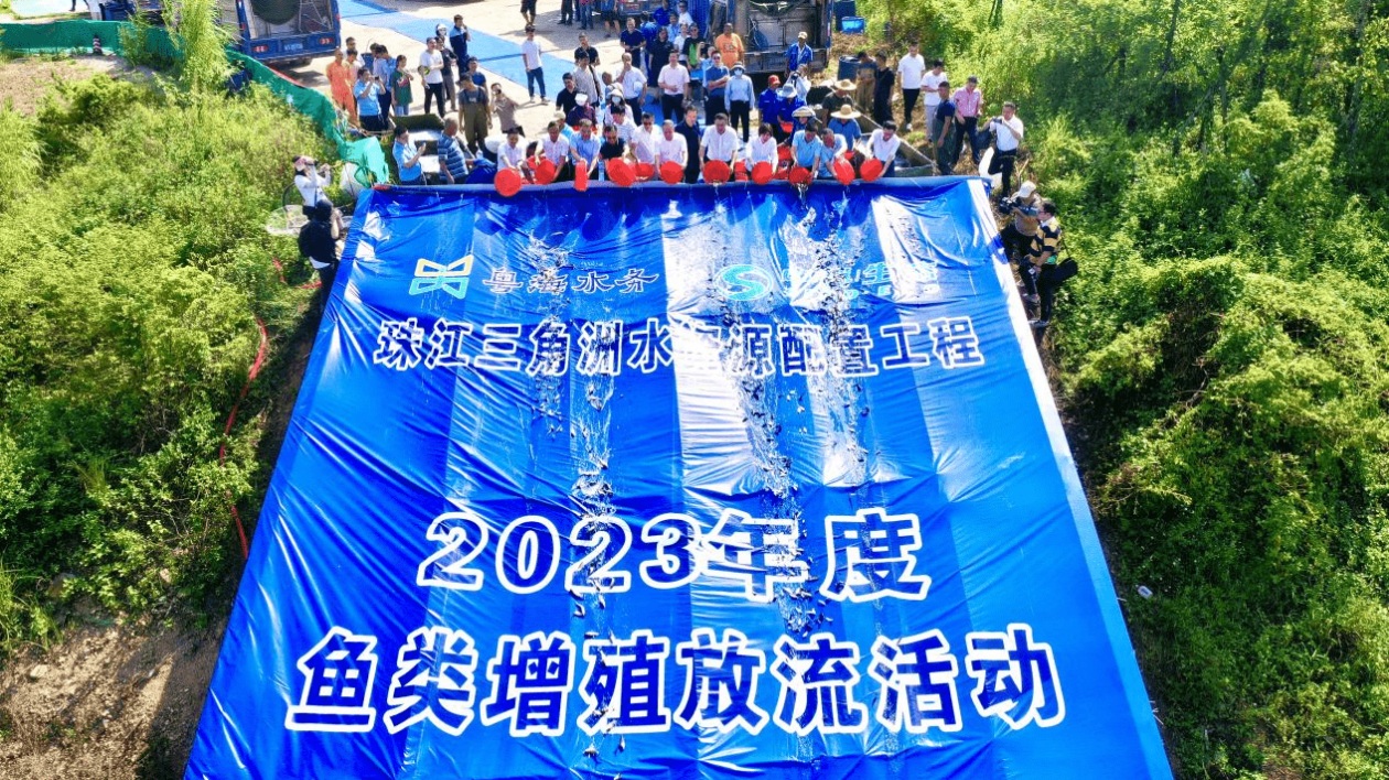 珠三角水資源配置工程放流西江170萬(wàn)尾魚苗