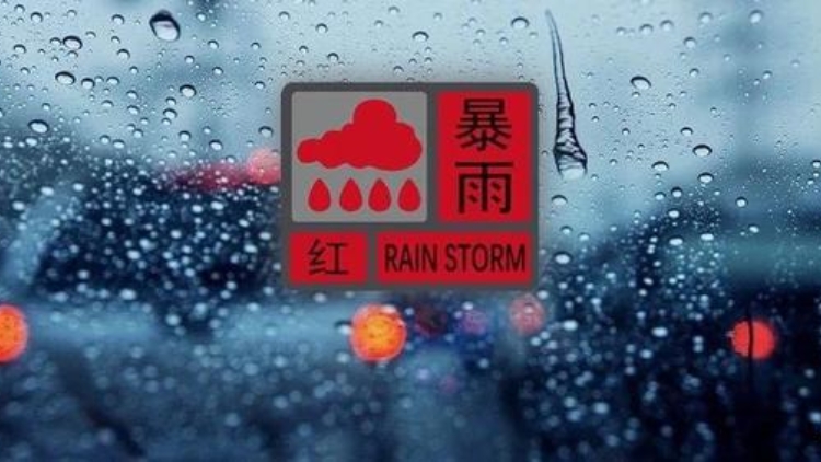 暴雨來襲，收好這份避險秘籍！