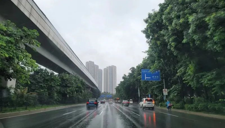 「滑動(dòng)雨量」、「列車效應(yīng)」，暴雨天深圳各方運(yùn)行有序