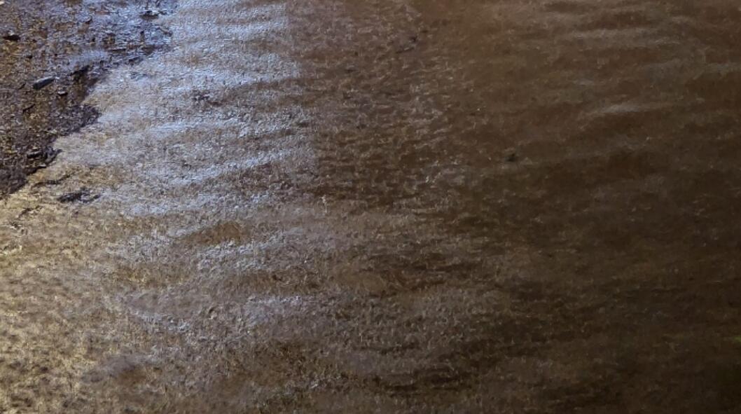 世紀(jì)暴雨｜渠務(wù)署：新界北部水浸與深圳排洪無(wú)關(guān)