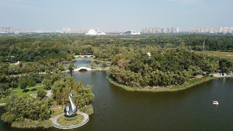 風(fēng)勁潮湧萬象新 ——哈爾濱市以「四個聚焦」紮實(shí)推動「三治一創(chuàng)」走深走實(shí)