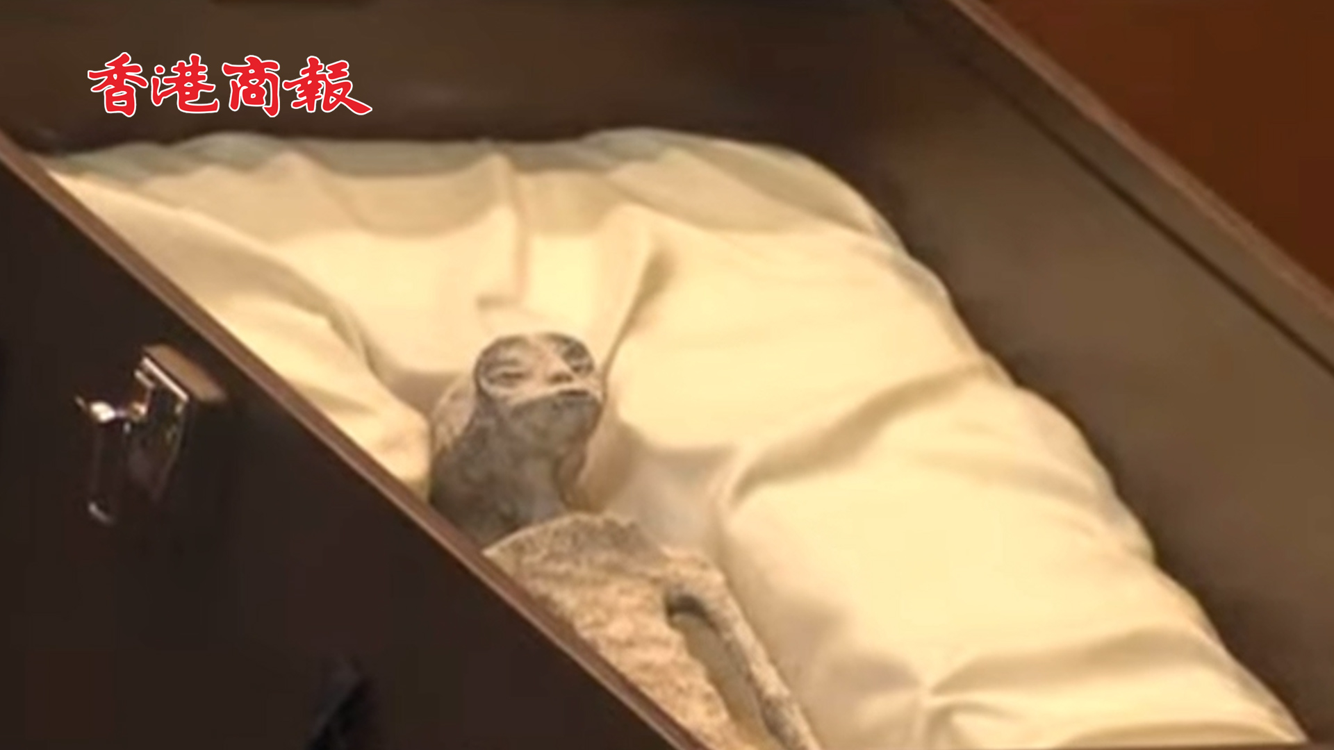 有片丨墨西哥展出兩具疑似外星生物遺?。菏钟?根手指 號(hào)稱已有千年歷史