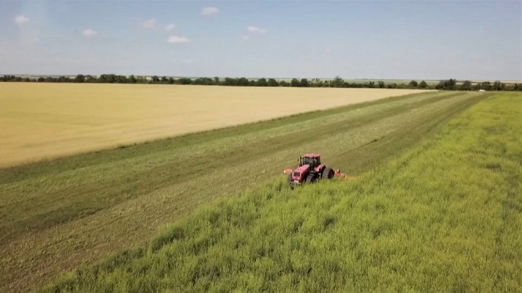 歐盟未延長烏農(nóng)產(chǎn)品進口禁令 歐洲多國反對