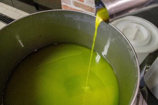 全球橄欖油價(jià)年飆130%  西班牙油廠5萬升初榨油失竊