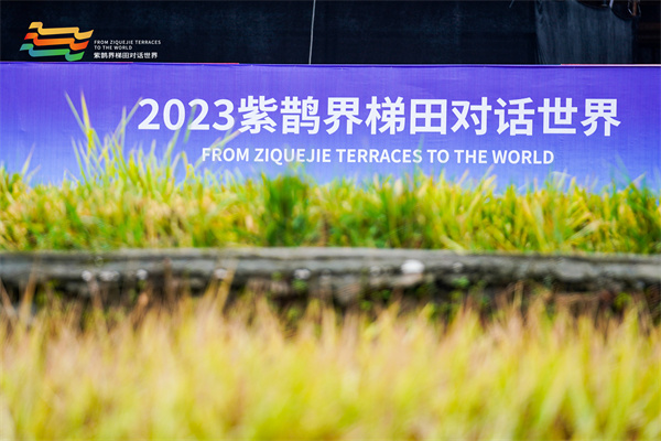 《梯田保護(hù)與發(fā)展共識(shí)》在湖南新化紫鵲界發(fā)布