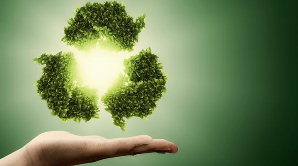 經(jīng)濟(jì)觀察｜「雙碳」三周年：中國如何走出兼顧「綠色與增長」的發(fā)展之路？