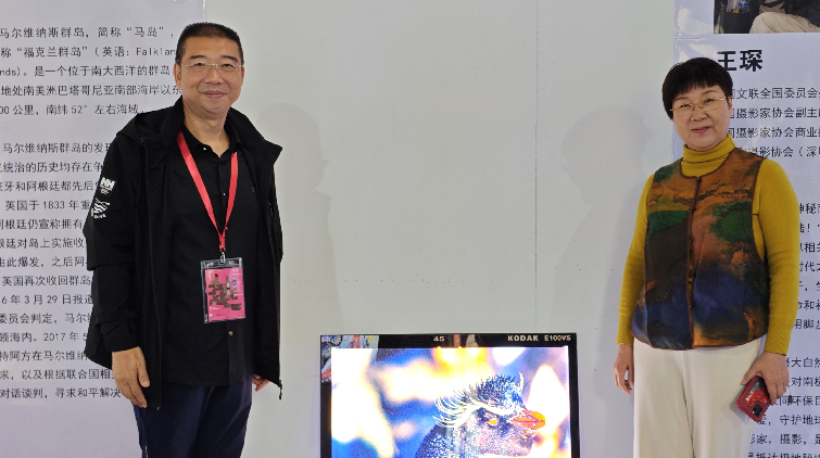 王琛：聚焦南極生態(tài)變化 捕捉全球變暖影像