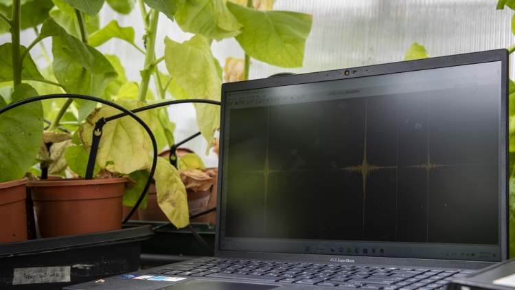 兩高一部：對組織水軍進行網(wǎng)暴依法從重處罰