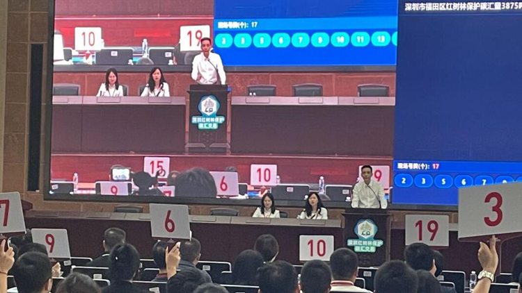 全國首單！深圳紅樹林不僅「吸」碳還可以「賣」碳