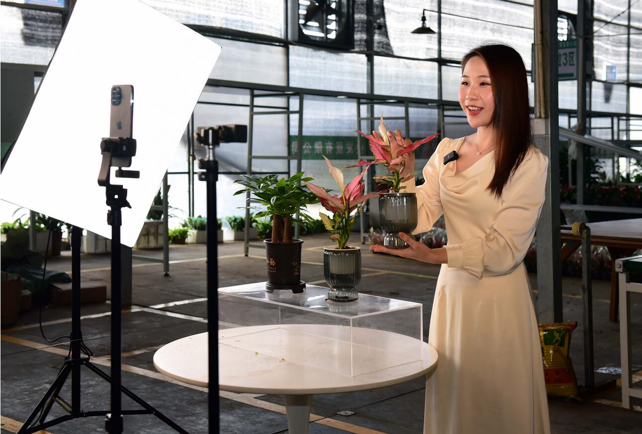 15小時(shí)，直播帶貨超億元！花都區(qū)數(shù)字農(nóng)業(yè)直播節(jié)啟動