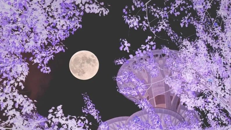 超級(jí)月亮刷屏朋友圈！深圳人，快看！