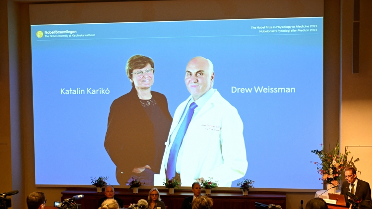 兩美國科學家獲諾貝爾醫(yī)學獎 表揚研發(fā)新冠疫苗貢獻