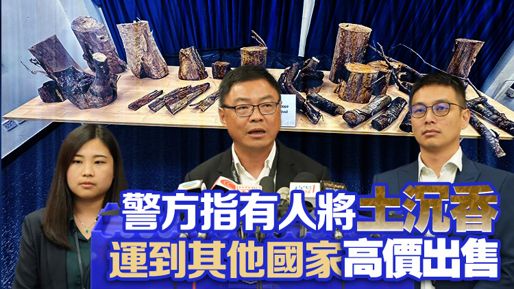 警方拘捕5人 涉砍伐87.4公斤野生土沉香 市值1500萬(wàn)元