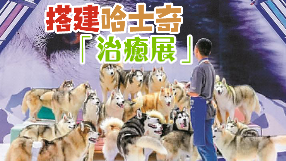 神奇萌寵在哪裏？第10屆深寵展10月13日至15日舉行