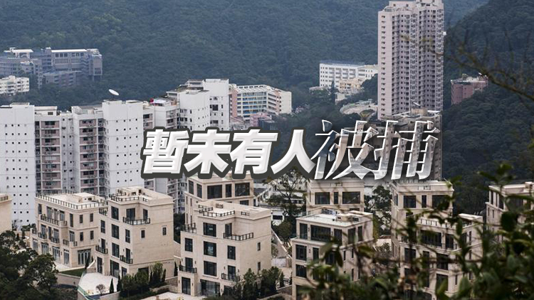 山頂獨立屋遭2匪夜?jié)摫` 失45萬財物包括5名牌手袋