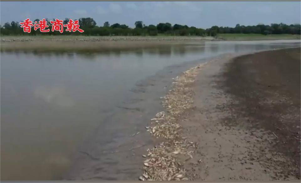 有片丨亞馬遜乾旱持續(xù)，巴西多城已降至「危險」水平