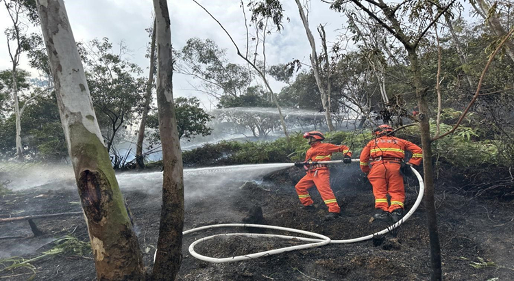 重陽節(jié)謹防火災風險，深圳發(fā)布近期兩起森林火情警示案例